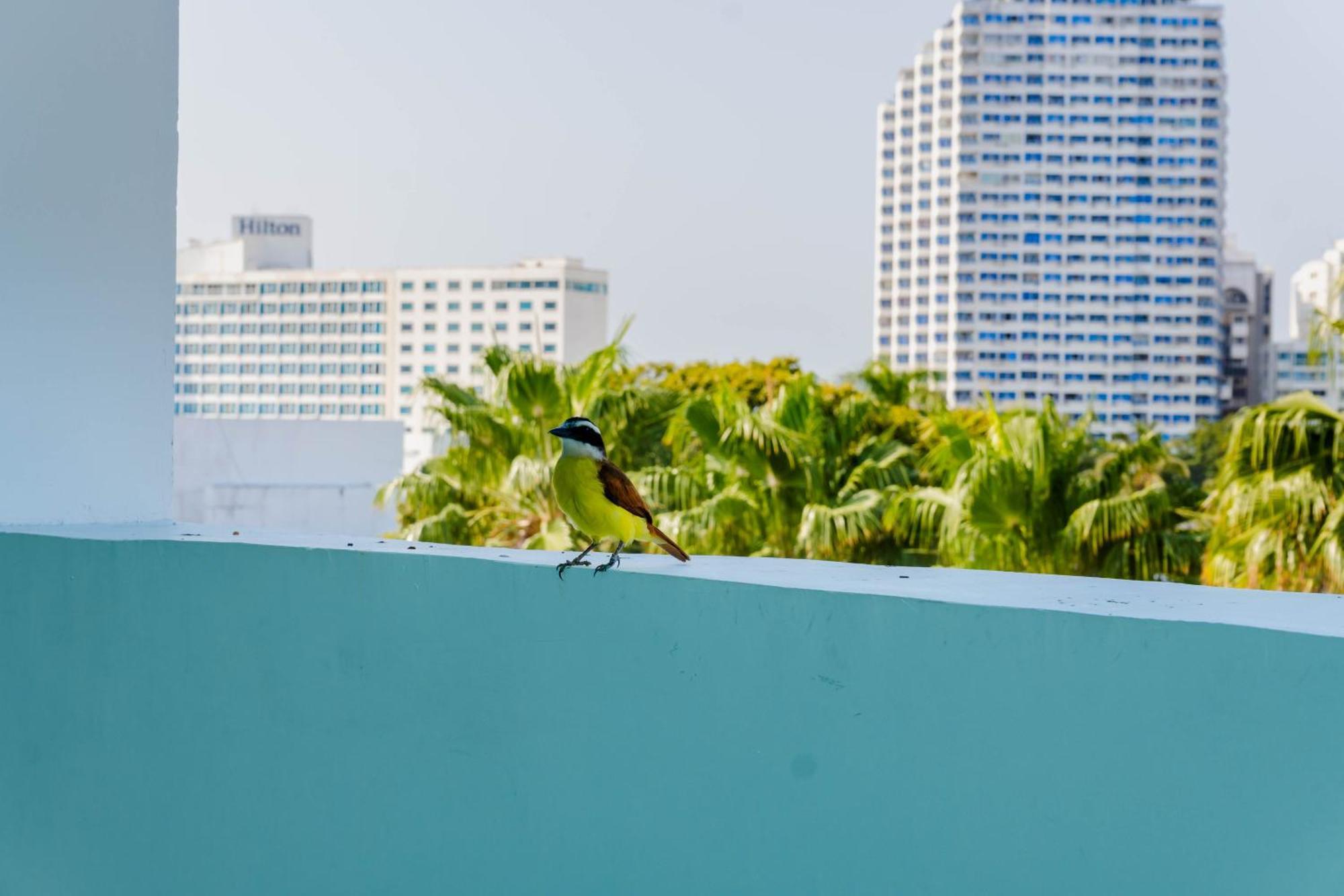 Hotel Coral Reef Cartagena Ngoại thất bức ảnh